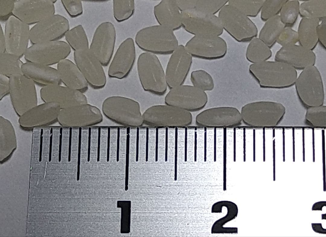 特別栽培米ひとめぼれ９kg