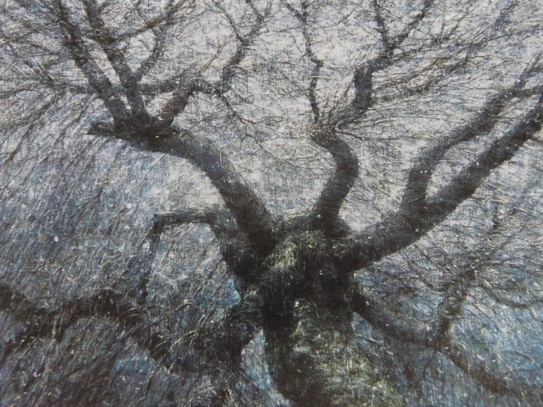 堀研、【風花】、希少な額装用画集より、新品額装付、状態良好