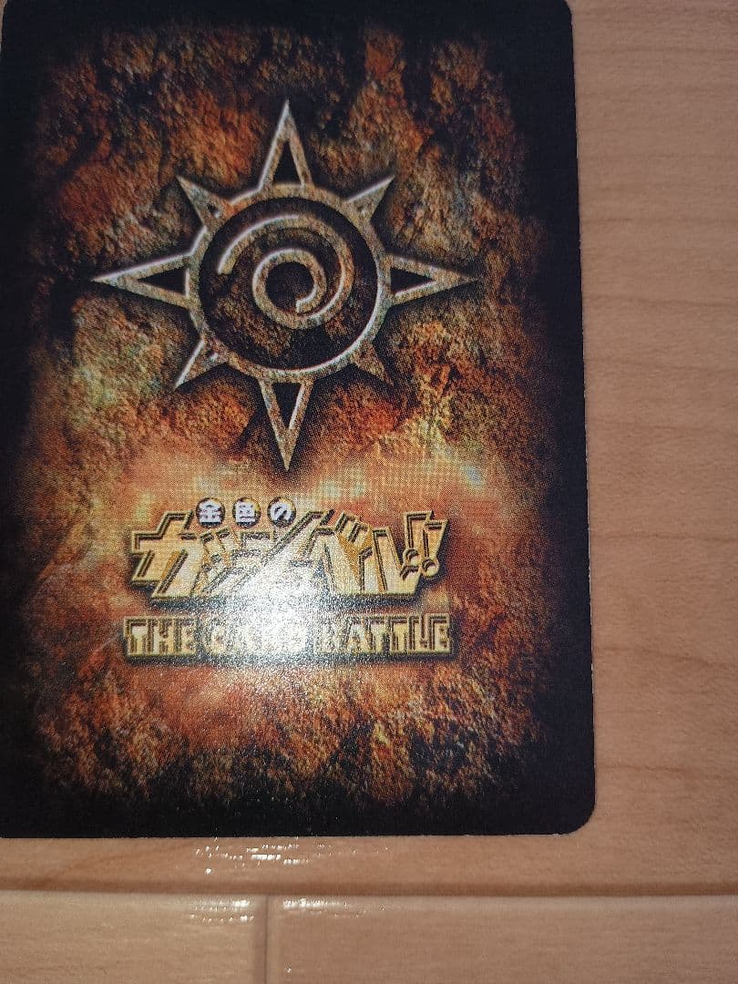 ガッシュベル　妬みの炎　ゼオン