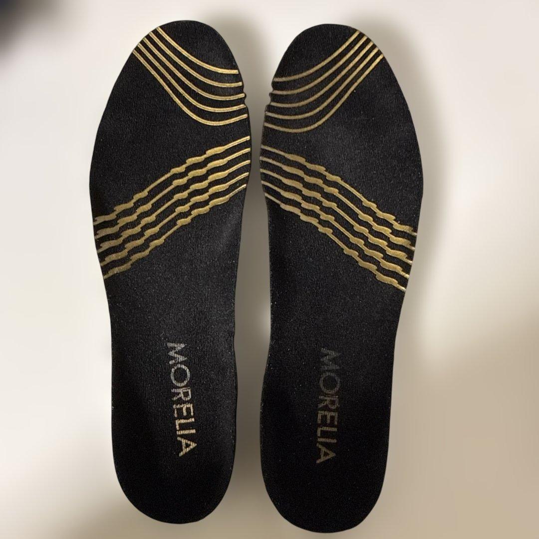 Mizuno モレリア ウェーブ ジャパン 25センチ 希少