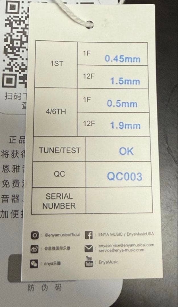 ENYA Inspire  ホワイト　アンプ内蔵エレキギター