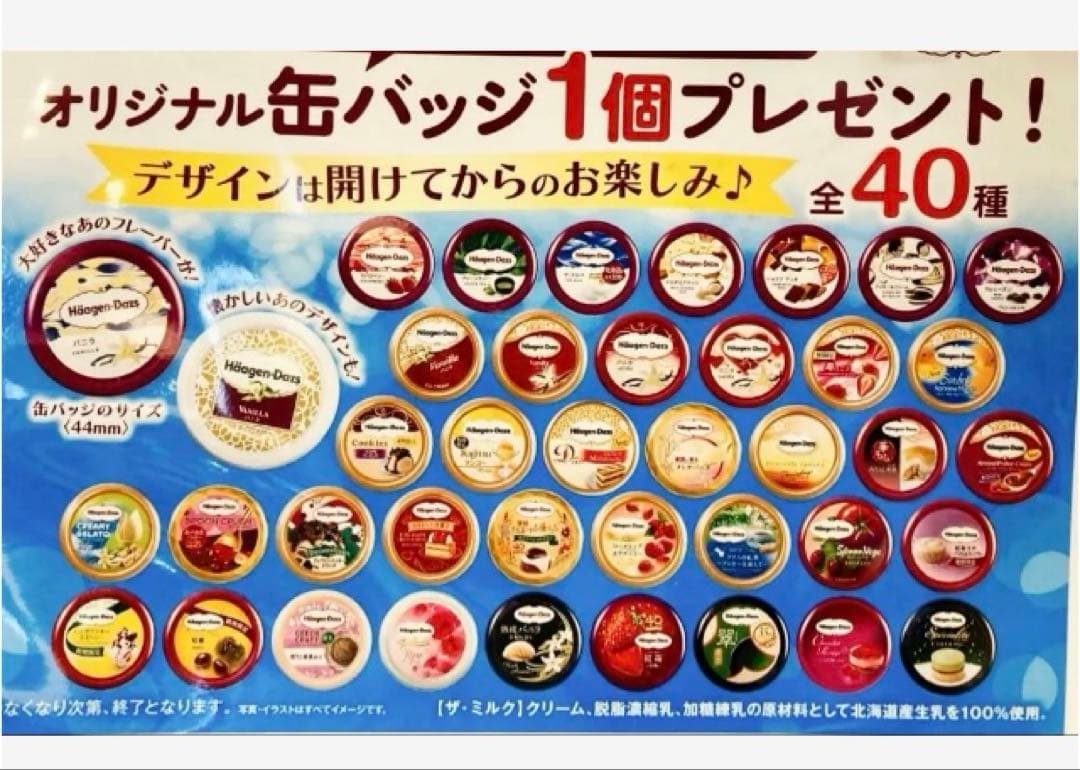 【新品❤️未使用】ハーゲンダッツオリジナル缶バッジ⭐️40種フルコンプリートセット