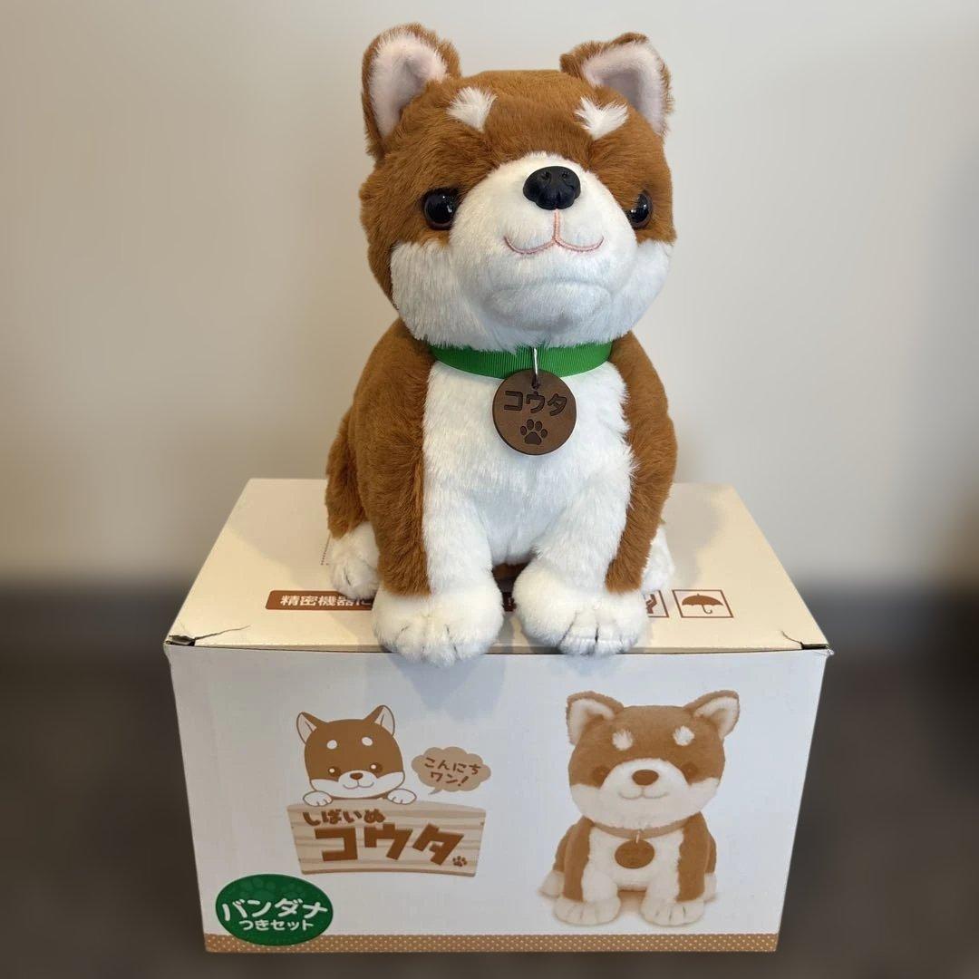 しばいぬ　コウタ おしゃべり　ぬいぐるみ