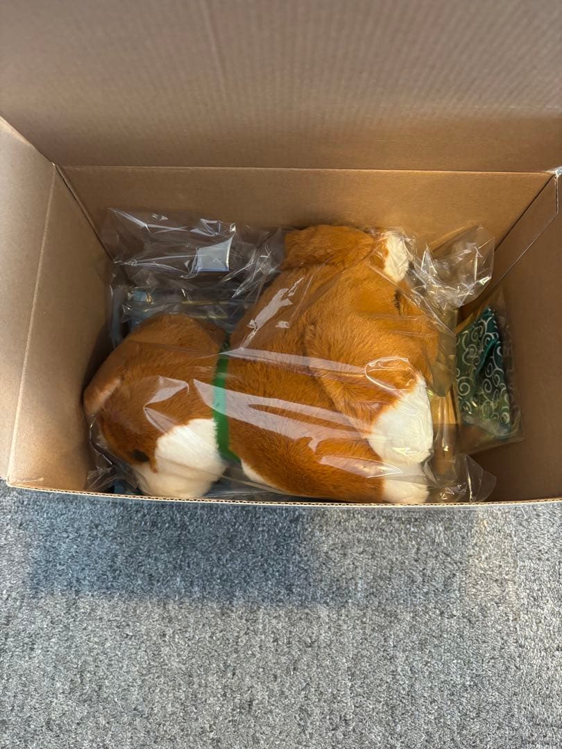 しばいぬ　コウタ おしゃべり　ぬいぐるみ