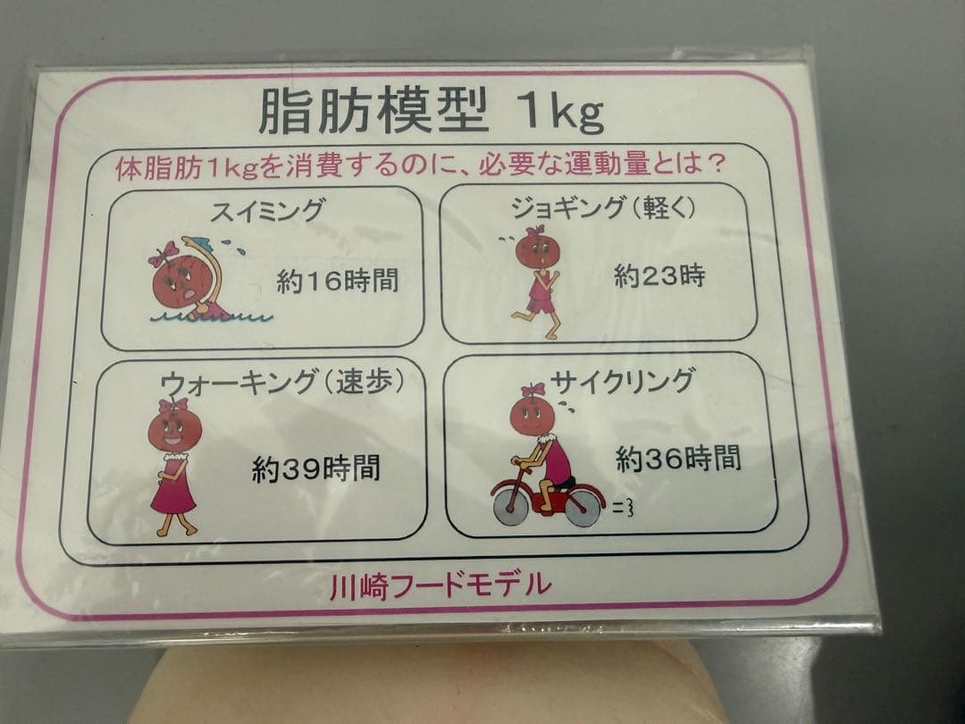 【2/9まで限定価格】未使用 川崎フードモデル 脂肪・筋肉模型 1kgセット