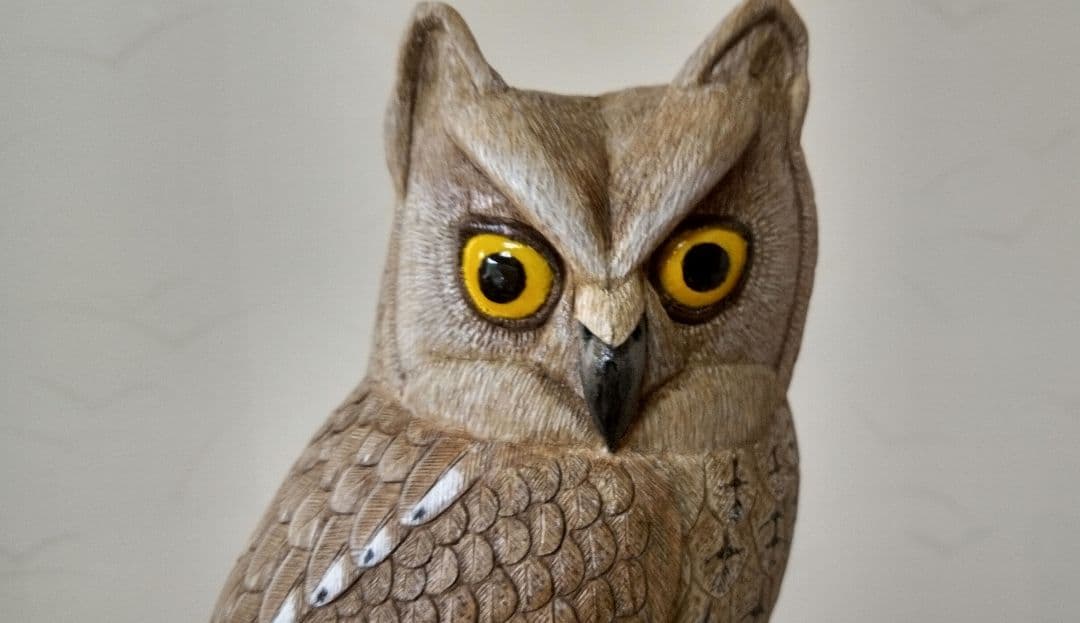 バードカービング　コノハズク