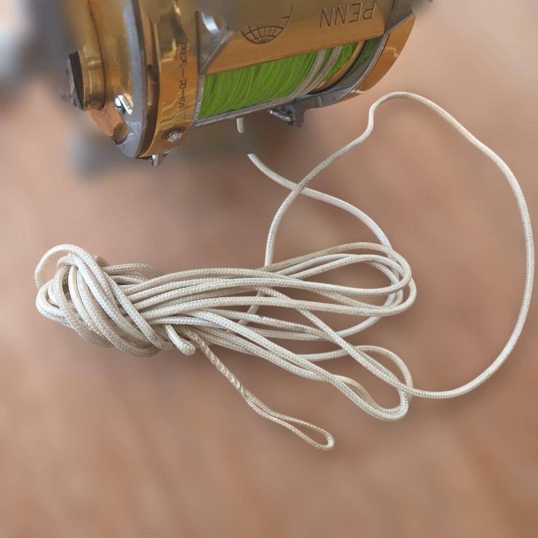 PENN International 80 リール トローリング