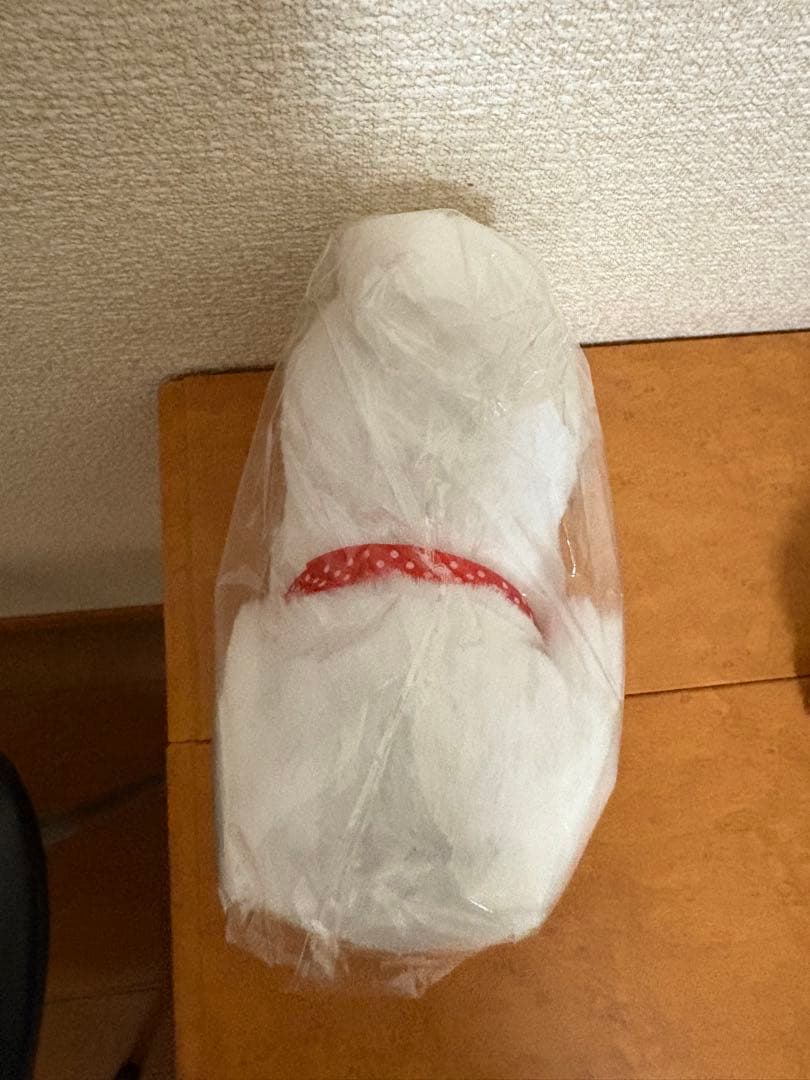 NICO ROBÓTICA ロボット犬 3点セット