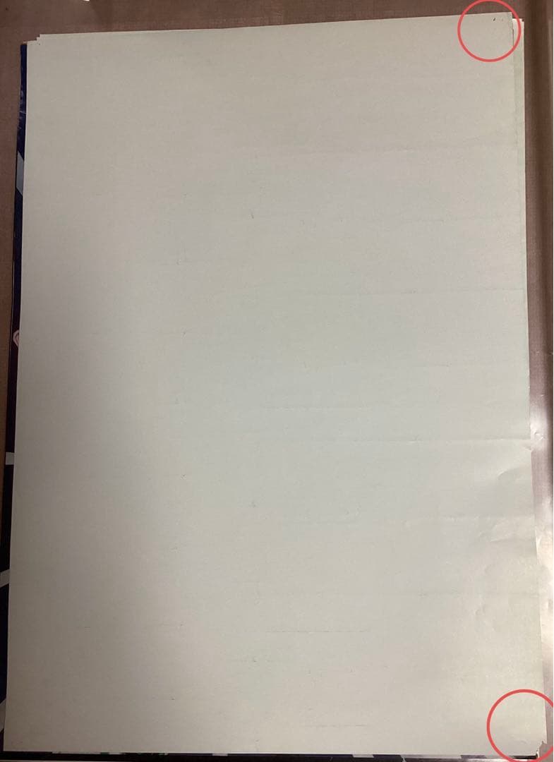 聖闘士星矢 キグナス氷河 ポスター 当時物 B2サイズ