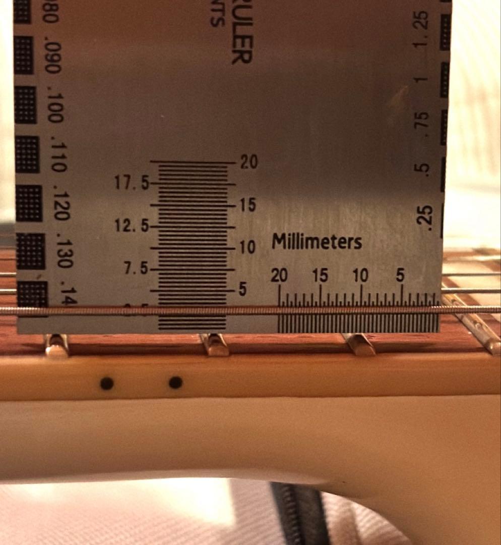 Epiphone Les Paul Custom 新品ギグバック