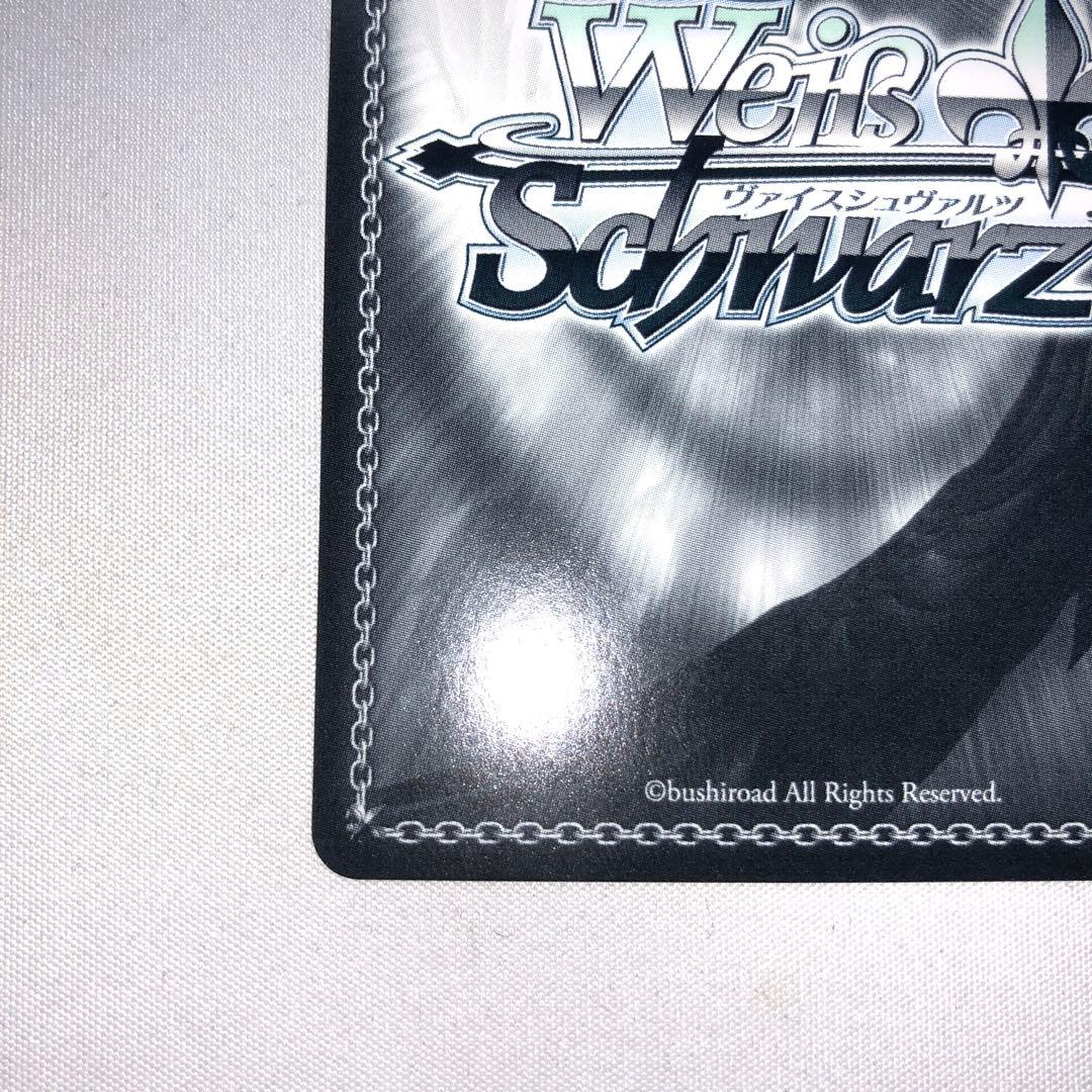 小鳥遊ホシノ 水着 sp ブルーアーカイブ ホシノ サイン