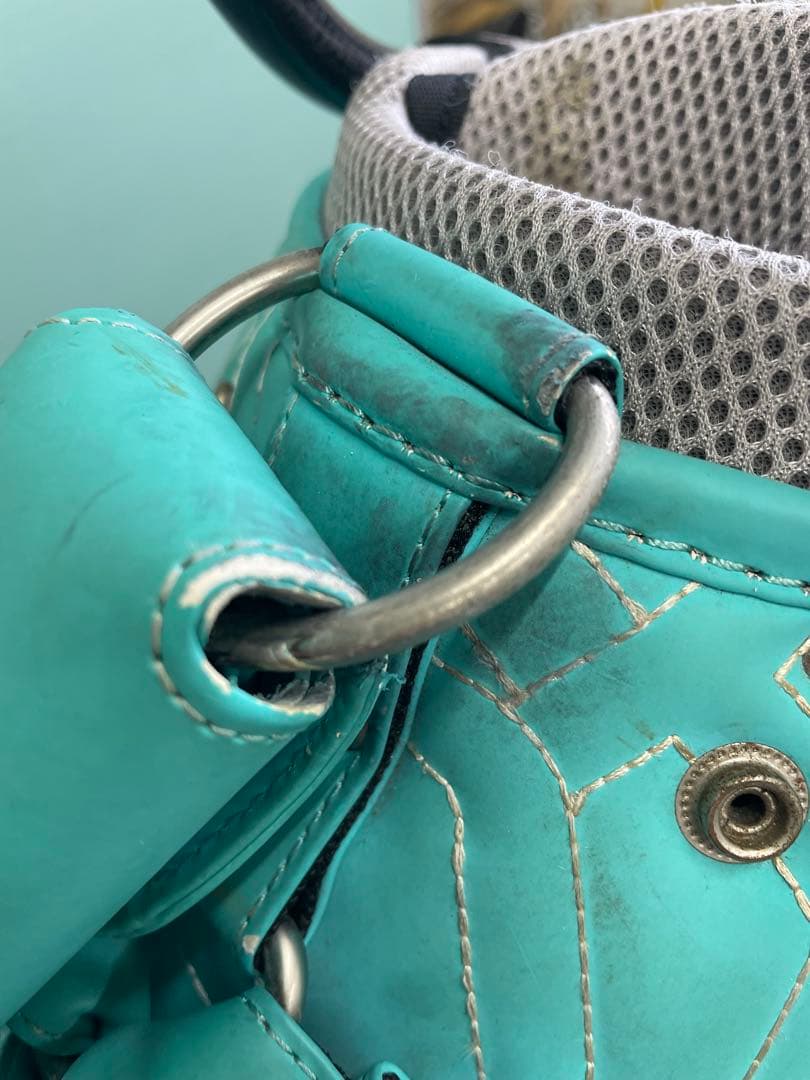 RODDIOプレミアゴルフキャディバッグ