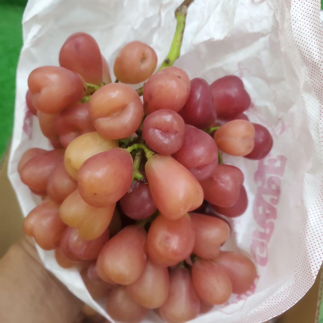 1⃣ 山梨県産 マイハート ７房入り 箱込み5.6キロ