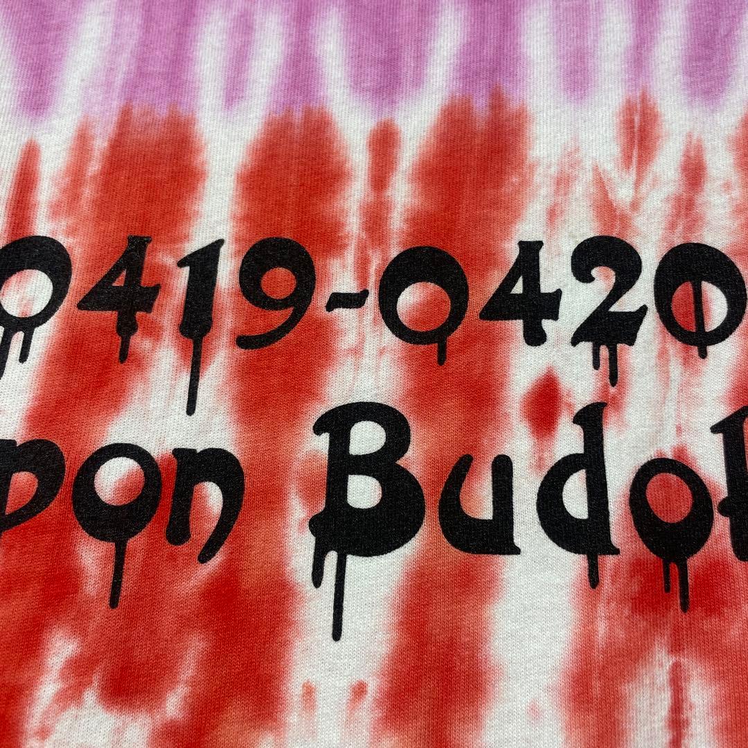 【ほぼ未使用】LiSA カラフルi SCREAM Tシャツ