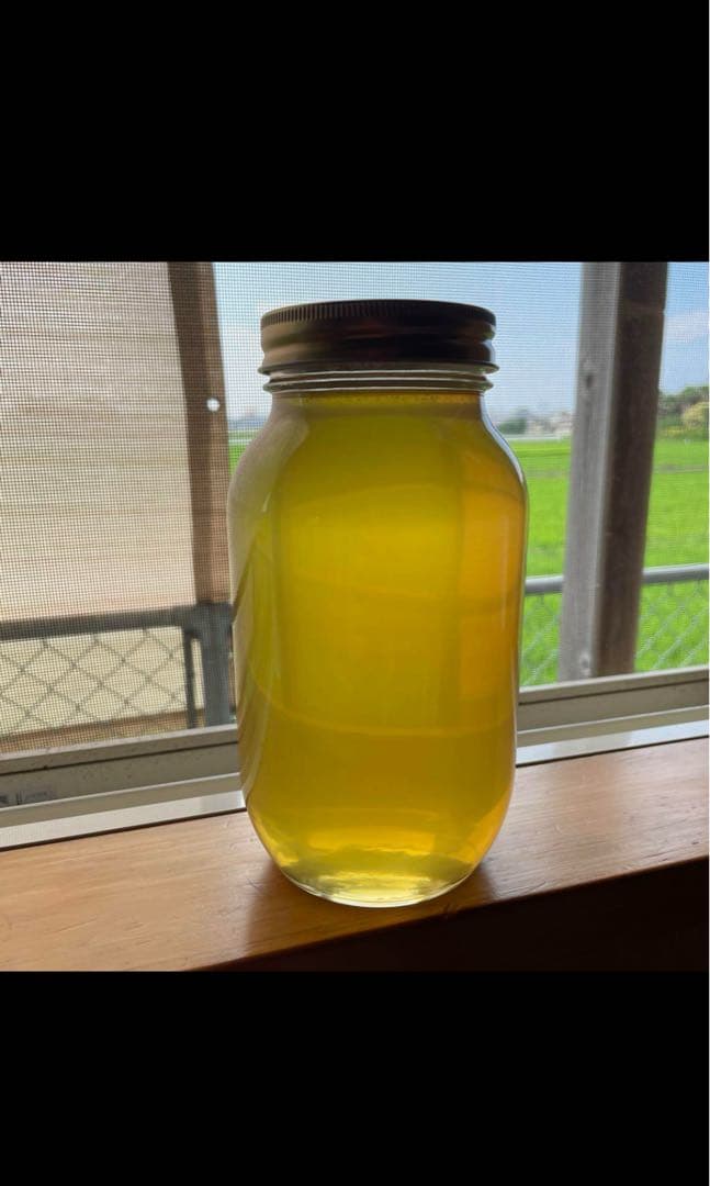令和7年絞りたて　瀬戸内産みかんの生蜂蜜1.2kg