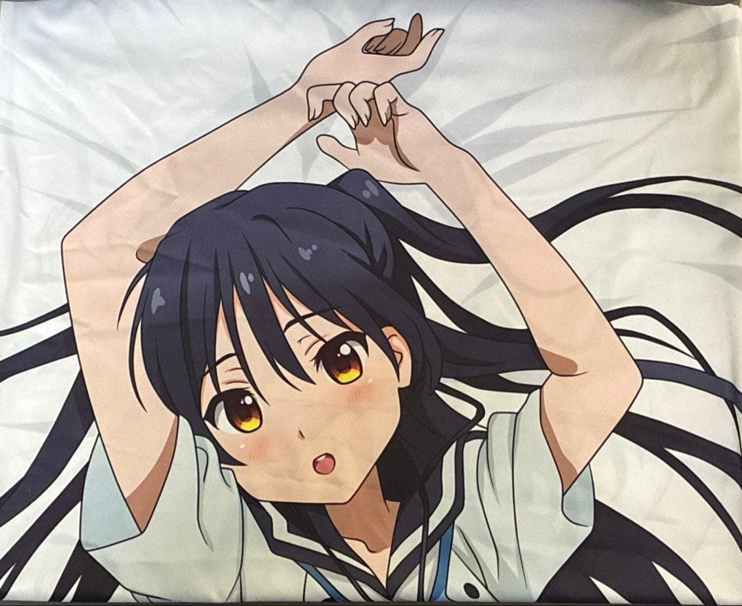 【Hello World】一行瑠璃　抱き枕カバー