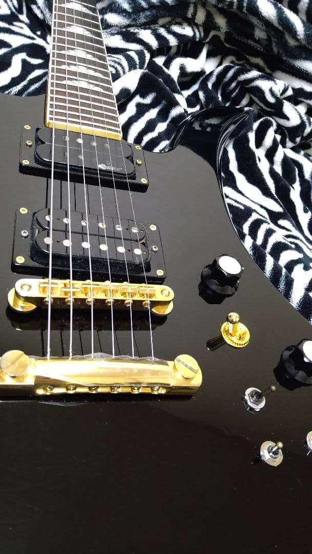 FERNANDES　サスティナー基盤ユニット　ピックアップセット