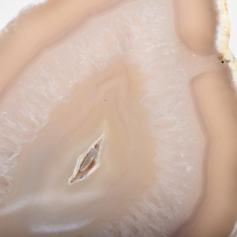 白珊瑚　兎彫刻　置物　瑪瑙石台付　時代箱付　V　7910