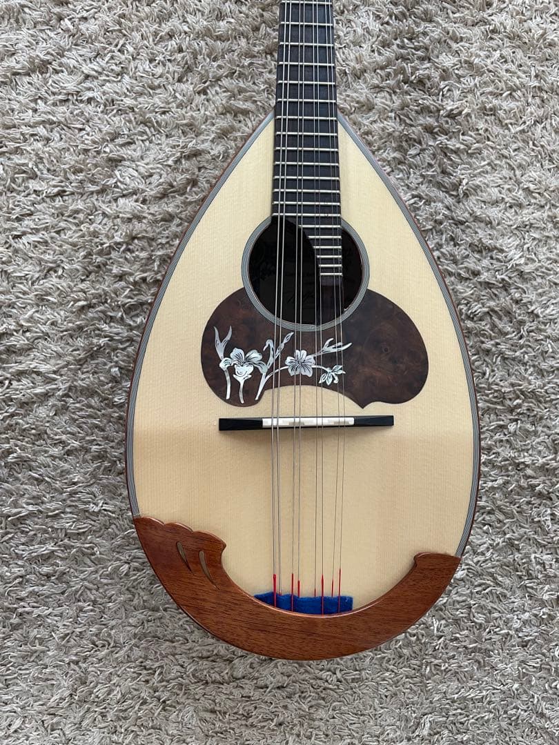 Calace（カラーチェ）マンドリン No.26 正規品保証書付き・2024年製