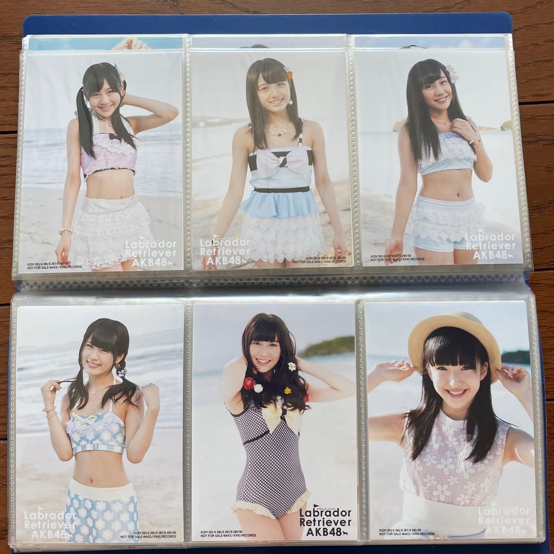 AKB ラブラドールレトリバー 通常 生写真