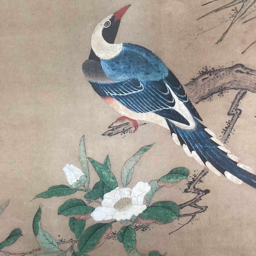 狩野養拙　椿尾長図　フランクリン画廊《認定書》サンフランシスコ美術館所蔵212