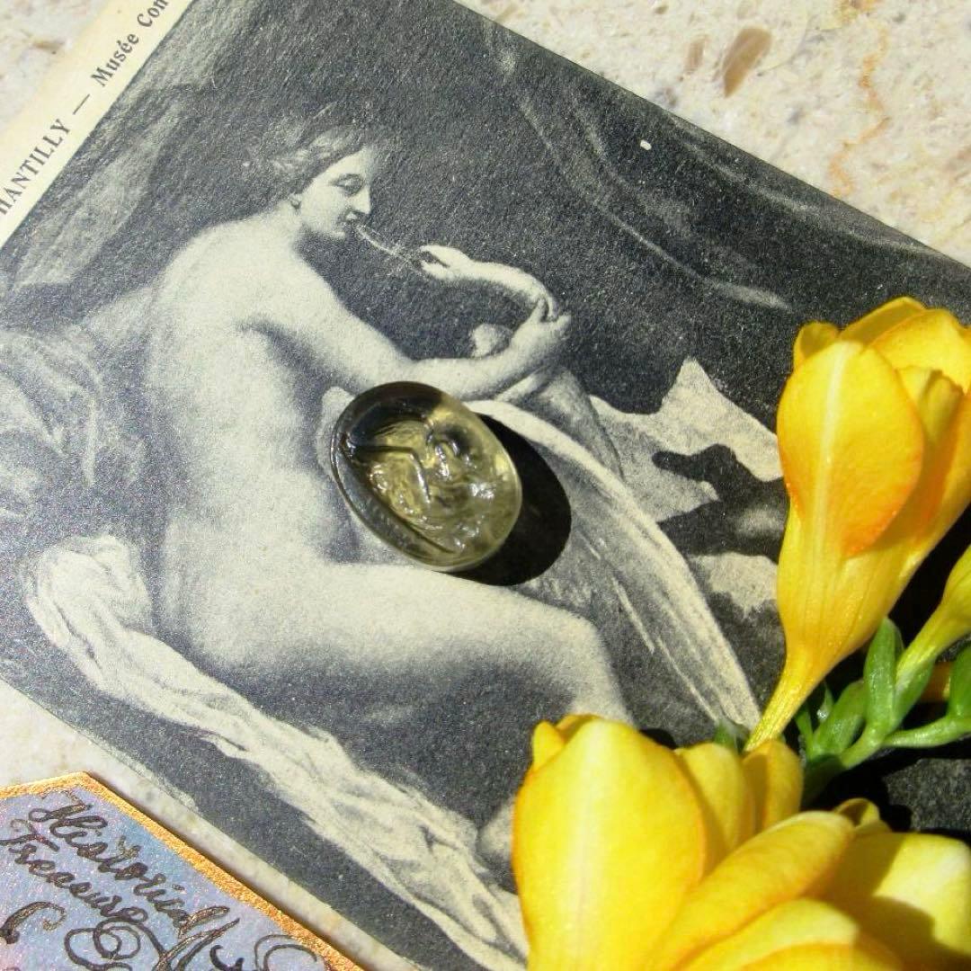 レダとスワン ଓ✧*１８世紀:☪︎✧*グランドツアー:+*ガラスシール⋆.✰