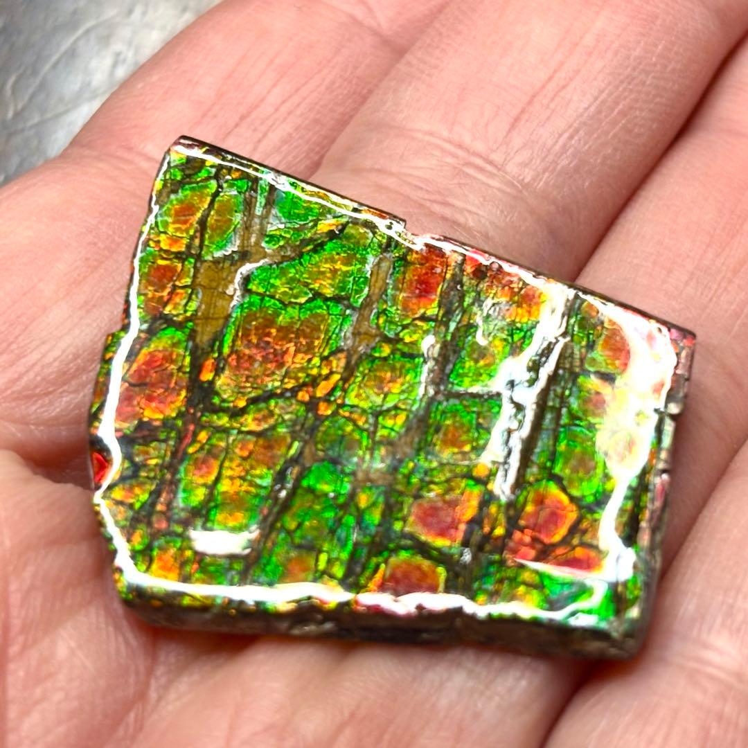 カナダ産 アンモライト 樹脂スタビライズ加工 天然宝石 化石 標本 両面遊色あり