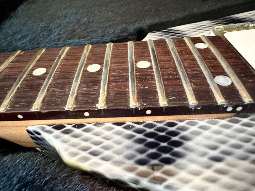 必読！ESP エレキギター ランディローズＶ EMG