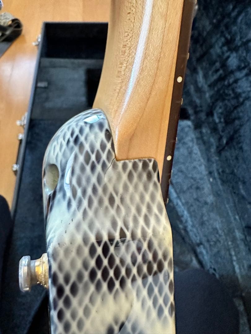 必読！ESP エレキギター ランディローズＶ EMG