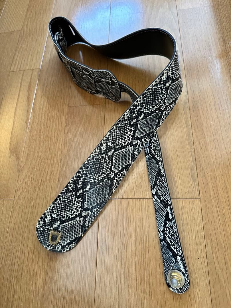 必読！ESP エレキギター ランディローズＶ EMG