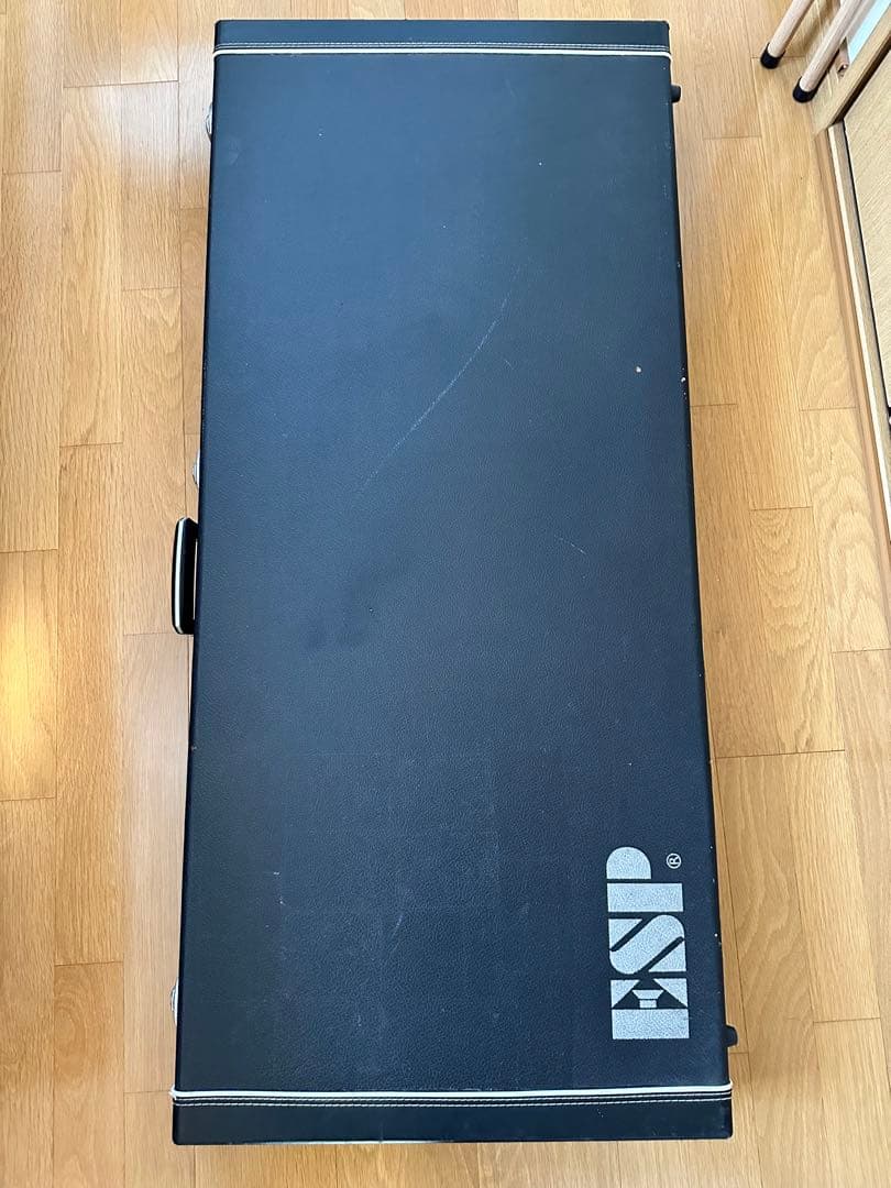 必読！ESP エレキギター ランディローズＶ EMG