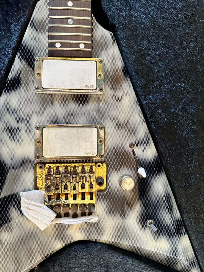 必読！ESP エレキギター ランディローズＶ EMG