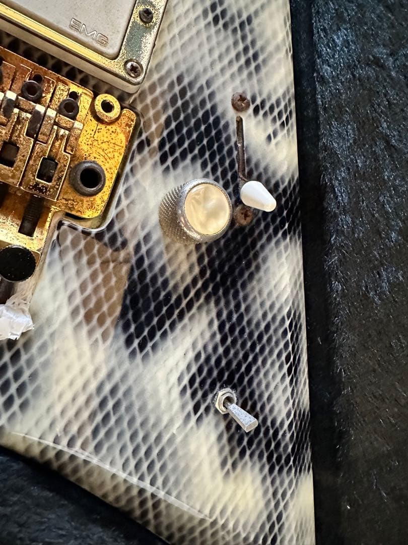 必読！ESP エレキギター ランディローズＶ EMG