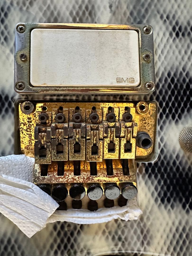 必読！ESP エレキギター ランディローズＶ EMG