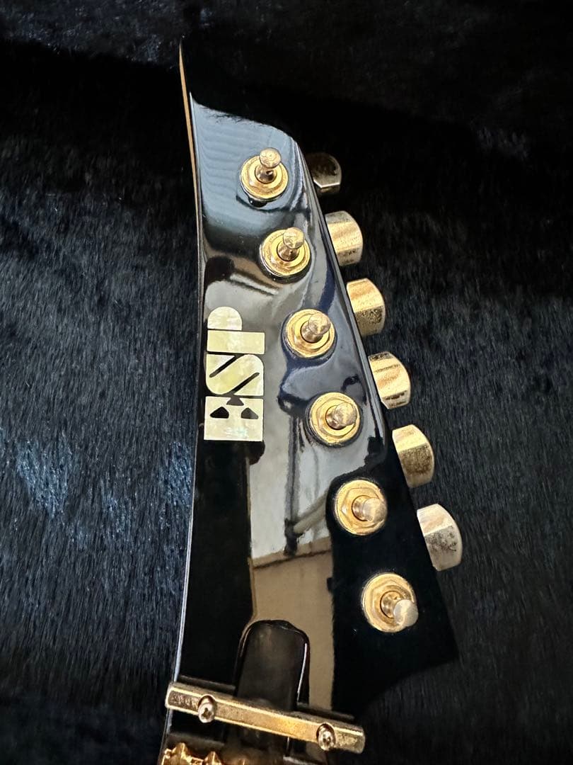 必読！ESP エレキギター ランディローズＶ EMG