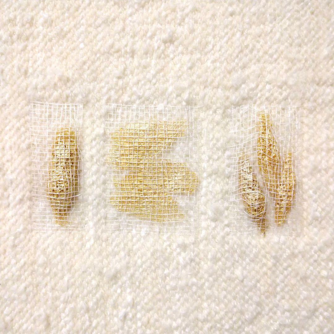 クリキュラ(Cricula Trifenestrata) 作品 美術品 アート