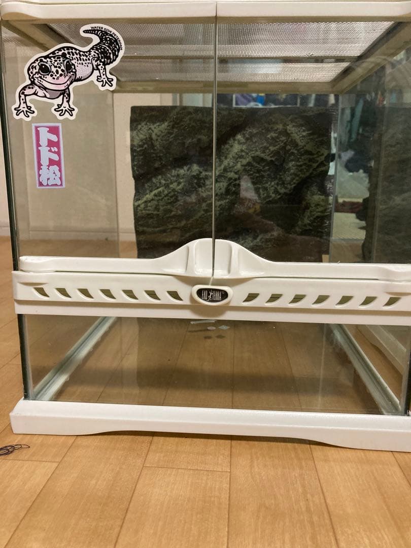 グラステラリウム3030 限定廃盤白　ヒュドラケース3120、プラケース大