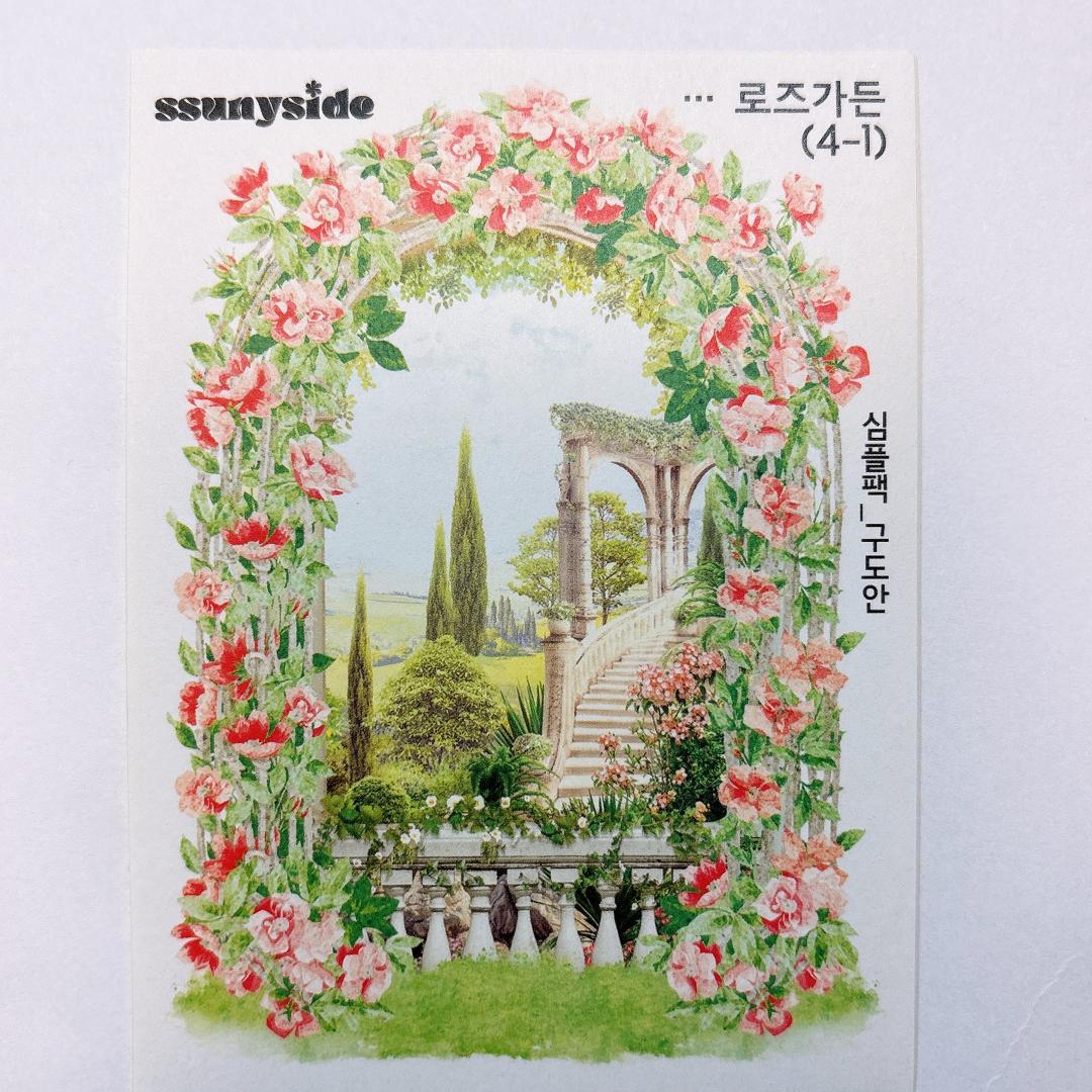 S233.装飾ステッカー　韓国作家　ssunyside(黒いたぬき)　バラ売り〇