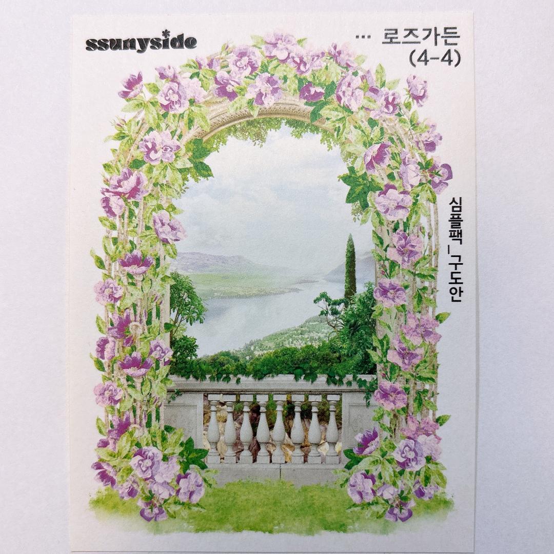 S233.装飾ステッカー　韓国作家　ssunyside(黒いたぬき)　バラ売り〇