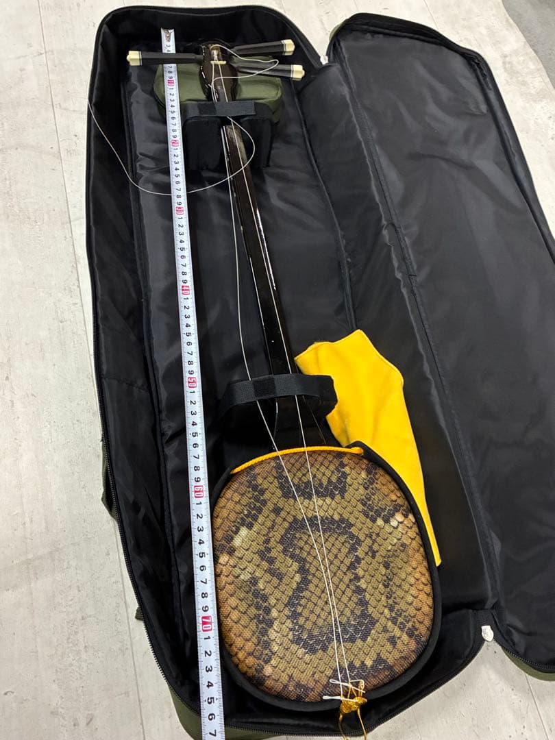 B0105）沖縄三線 蛇三線 人工皮 蛇柄 三味線 和楽器 ソフトケース付き