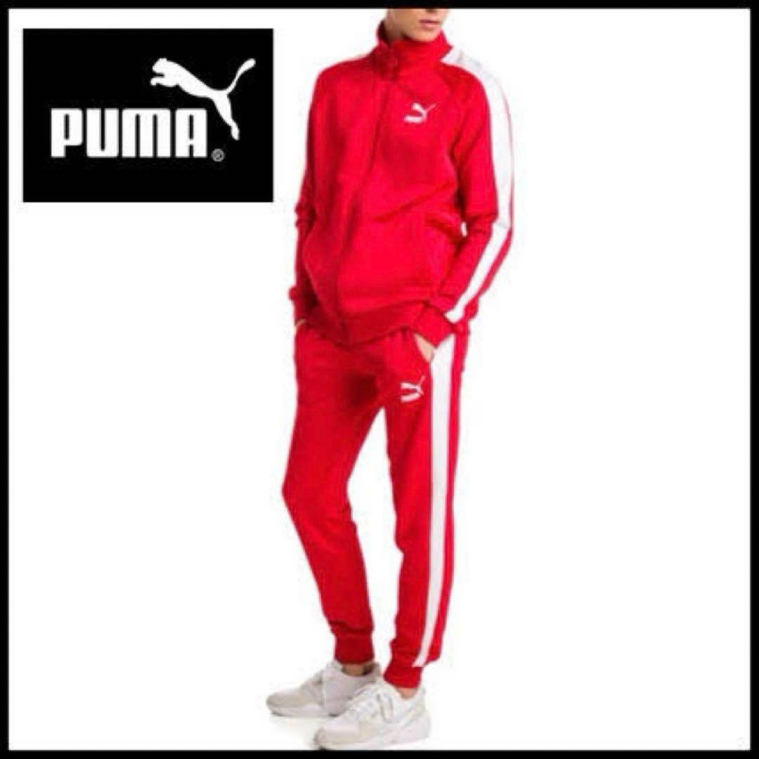 PUMAセットアップ