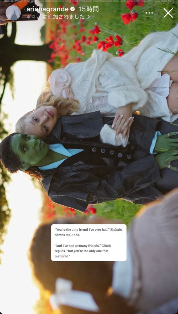 wicked for good ウィキッド エルファバ カーディガン シズ学校