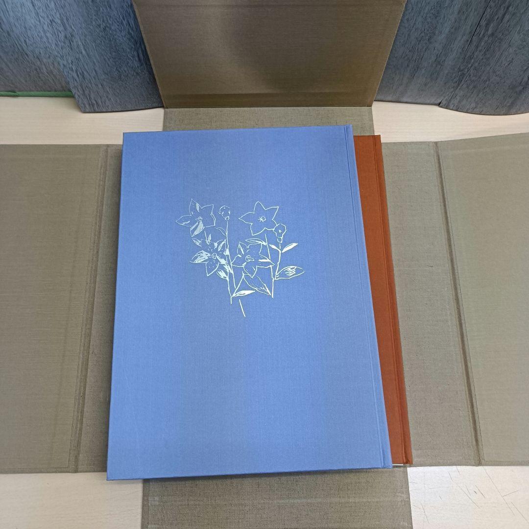 m010807fk 福田平八郎 作品と素描 全二巻揃 光村図書