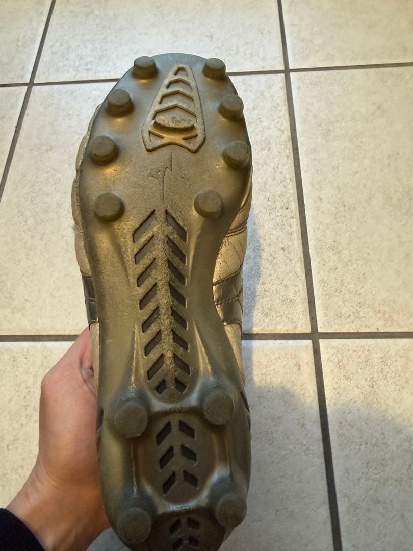 モレリアDNA 26㎝