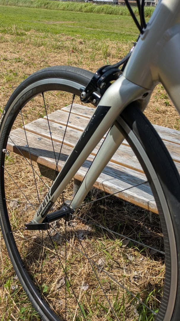 直接受け渡し希望　GIANT TCR SL1 2020 11速　MLサイズ