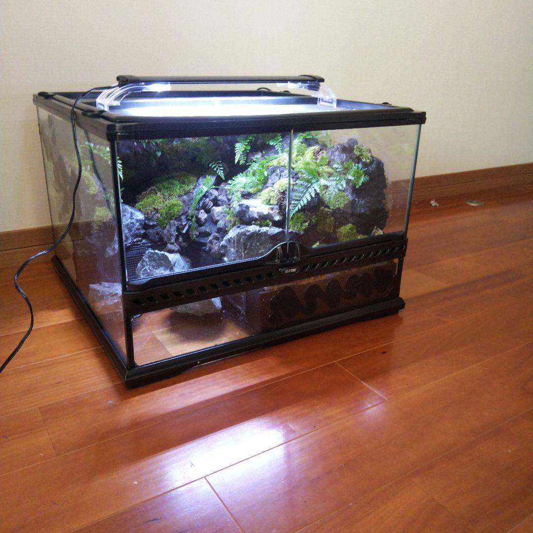 【受注生産】滝のあるアクアテラリウム　グラステラリウム 4530イモリウム