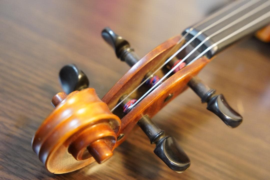 【美・良音】ローデリヒペゾルト　バイオリン Paesold 804 4/4　☆5