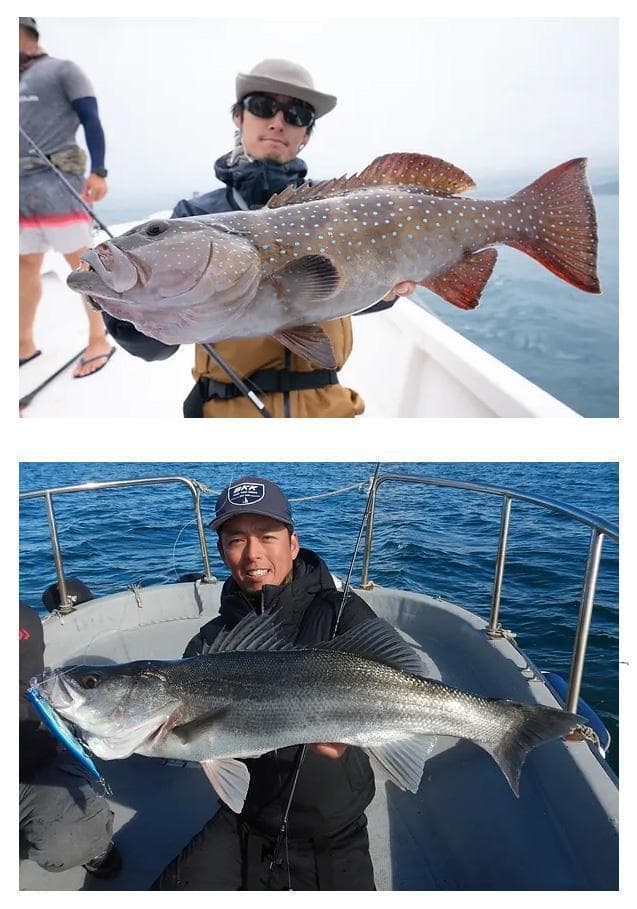 【トランスセンデンス】MISTRAL XX / ミストラル XX /*