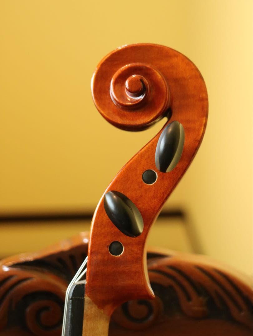 【みみちゃん】ビオラ 15.5 Gliga Gems Anno 2022