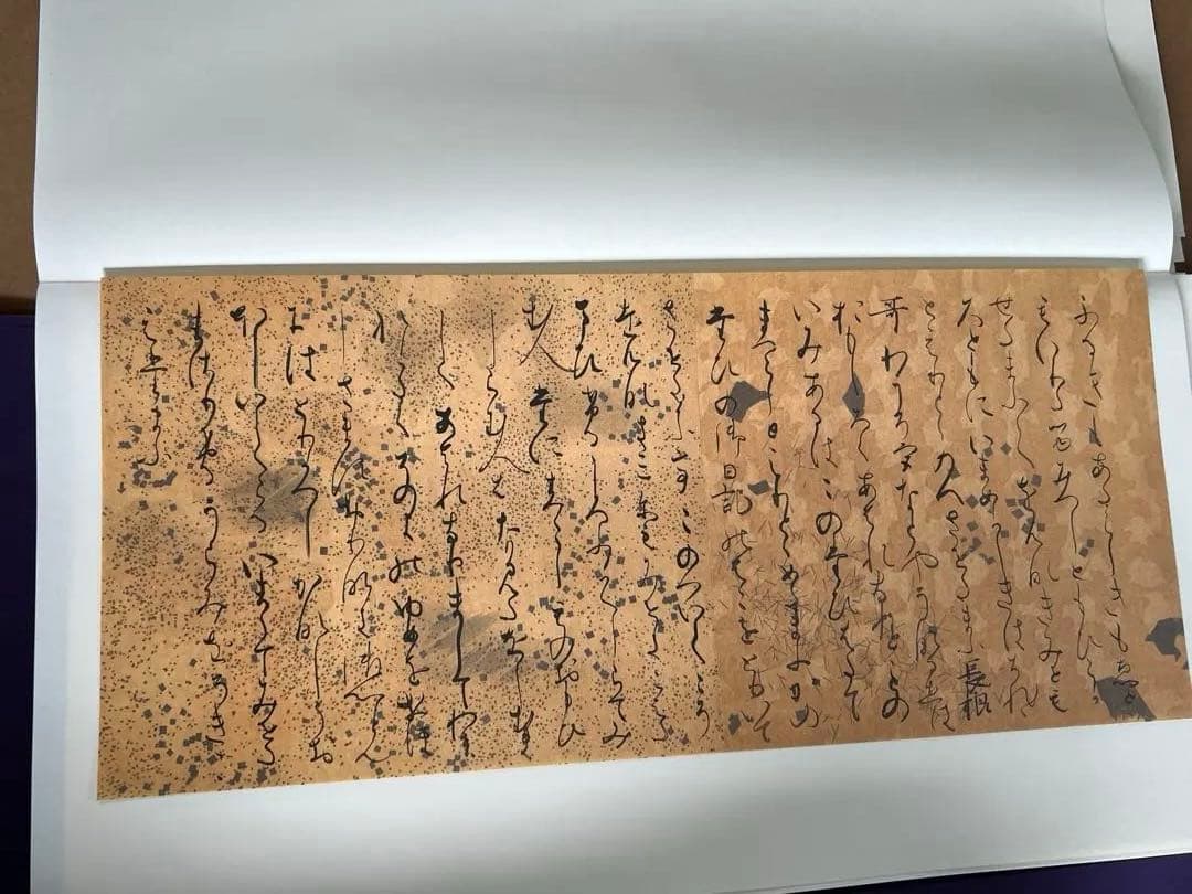 源氏物語絵巻 無綴図版全56葉揃